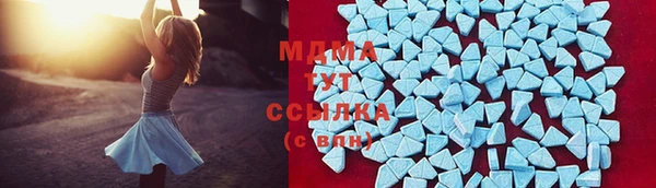 apvp Ельня